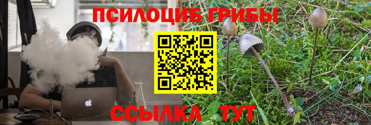 Татарск  Псилоцибиновые грибы ЛСД  даркнет сайт  Вход с VPN 